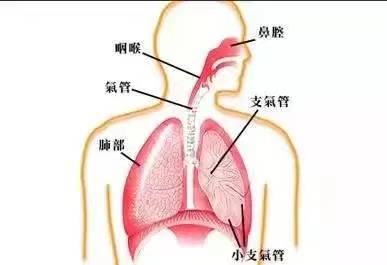 央视解密神奇的富氢水04.jpg