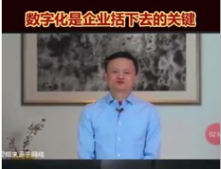 数字经济--马云:数字化是企业活下去的关键