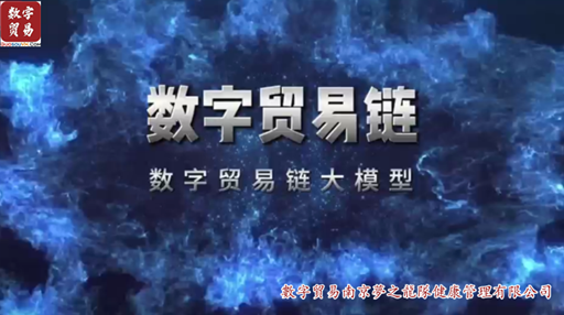 数字贸易链大模型