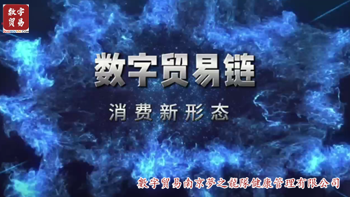 数字贸易链-消费新形态
