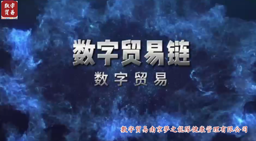 数字贸易链-数字贸易