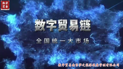 数字贸易链-全国统一大市场