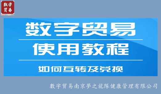 数字贸易操作：「如何互转及兑换」