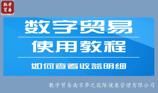 数字贸易操作：「如何查看收益明细」