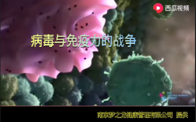 病毒与人体免疫力的战争