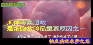 人体毒素超载是细胞故障最重要原因之一