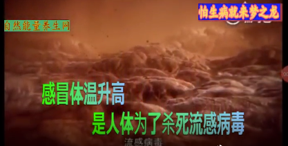 感冒体温升高，是人类为了杀死流感病毒