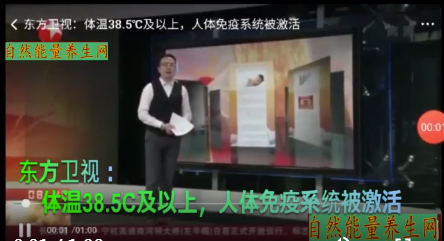东方卫视：体温38.5度及以上，人体免疫系统被激活