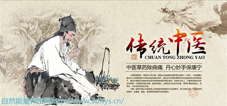 中医九种体质养生药膳食疗